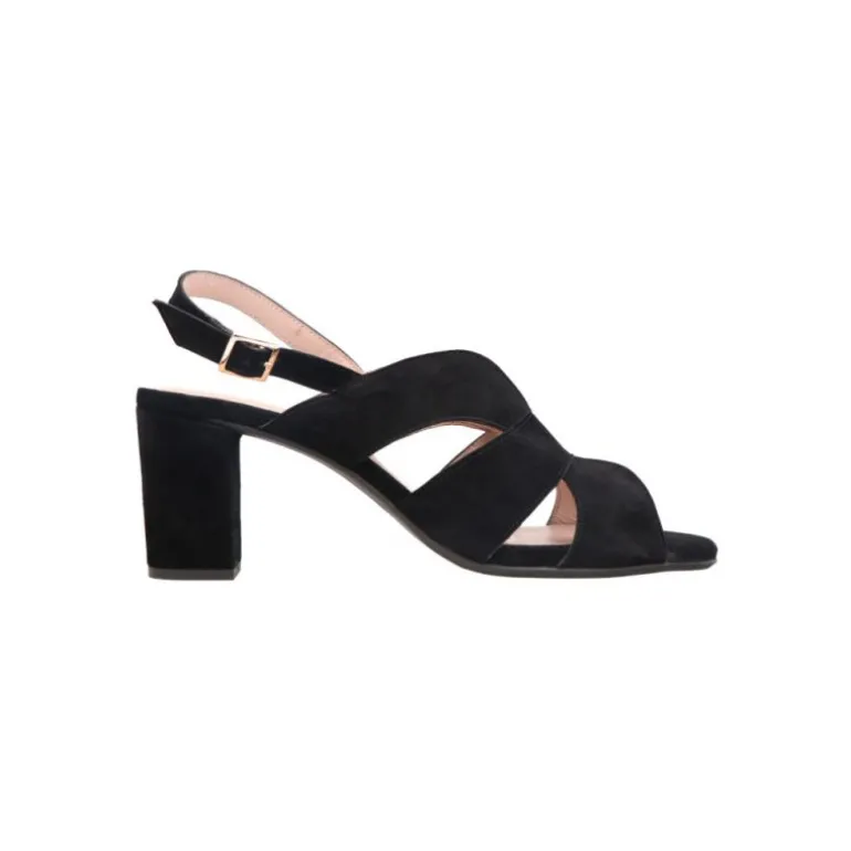 Sandales|Talons*Aerobics Blue Black