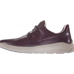 Sneakers|Casual*Timberland Bradstreet Ultra Oxford Dark Brown Full