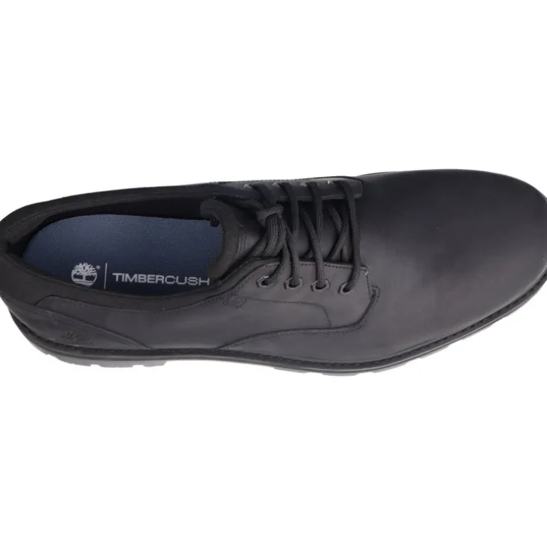 Classique*Timberland Britton Road WP Black