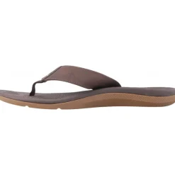 Tongs*Reef Santa Ana Brown