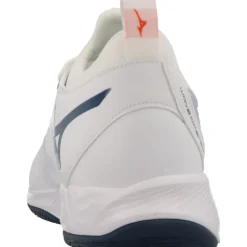 Baskets*Mizuno Wave Dimension