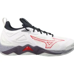 Baskets*Mizuno Wave Momentum 3